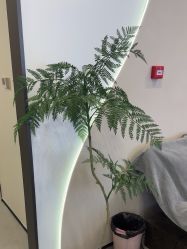 -壹加壹医疗美容·轻医美·美容外科