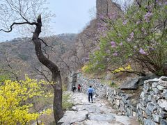 -北京鹫峰国家森林公园