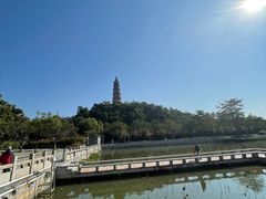 -顺峰山公园