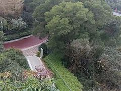 -金鸡山公园