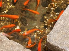 -邈墨茶馆(凤起路店)