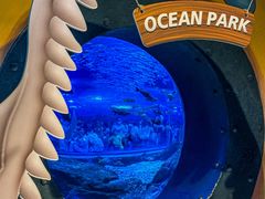 -海合安武汉极地海洋公园
