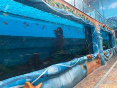 -望儿山温泉水乐园