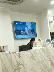 -YESIDO椰岛造型