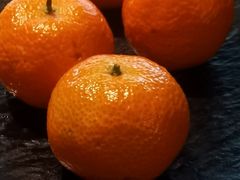 -吴越荣记·苏州菜·松鼠桂鱼(斜塘老街店)