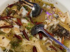 -九毛九西北菜(百信广场店)