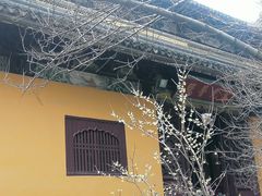 -西园戒幢律寺