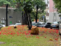 -深圳龙潭公园