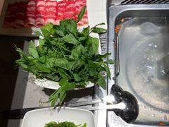 -海底捞火锅(奥森店)