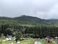 -武陵山森林公园