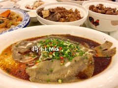 清蒸多宝鱼-龙泉海鲜酒楼(龙昆南路店)