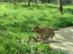 -西安秦岭野生动物园