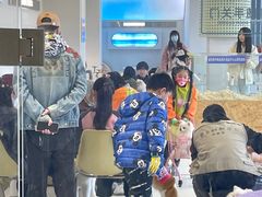 -怪兽屋·羊驼·猫咖·狗咖(俊华广场店)