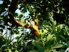 -国家植物园南园