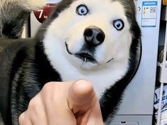 -一绪に寿喜烧(夫子庙水游城店)