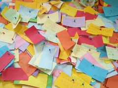 -志龙皇冠吃货椰子铺