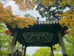 -南翔古镇