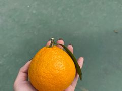 -螺小胖柳州螺蛳粉(钟楼总店)