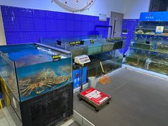 -蟹老板的海鲜