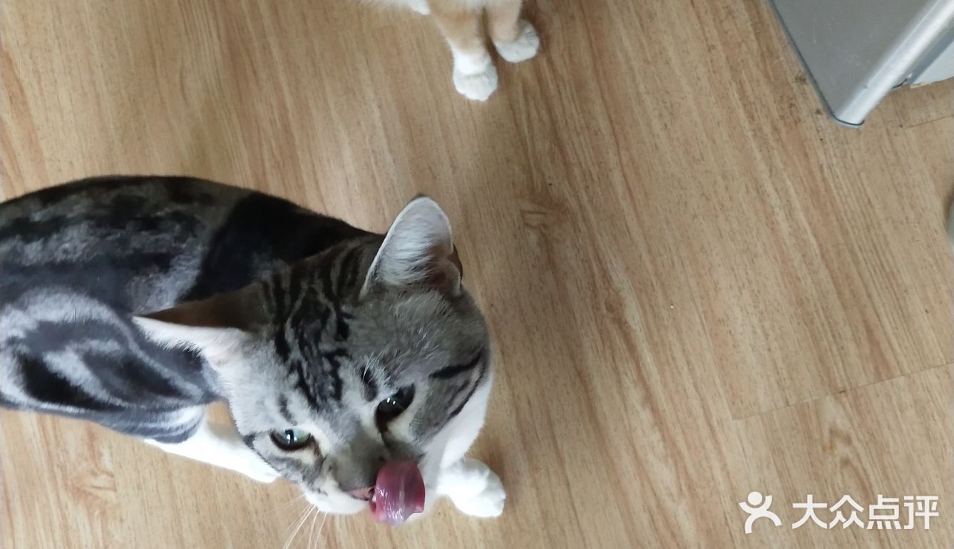 位于小寨东路一又二分之一公寓B座1009 大叔是个爱