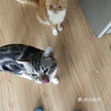 位于小寨东路一又二分之一公寓B座1009 大叔是个爱