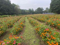 -萨尔浒风景区