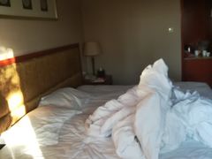 -扬州瘦西湖汇金酒店