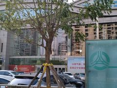 -辽宁省汽车快速客运站