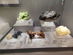 -湖南省地质博物馆