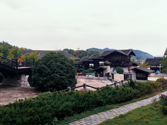 -大唐贡茶院
