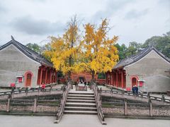 -房湖公园