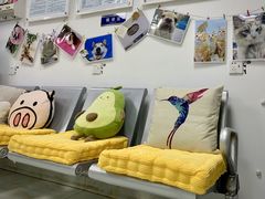 -莘程宠物医院(金山店)