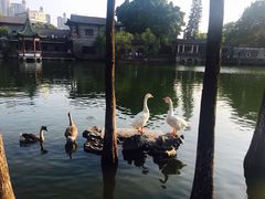 -东莞市可园博物馆