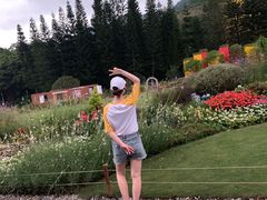 -深圳仙湖植物园-停车场