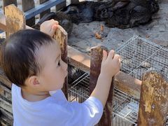 -泉州海丝野生动物世界