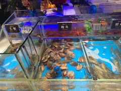 -加餐海鲜自助(宝龙一城店)