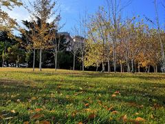 -盛江山自助料理(奥莱锦辉购物广场店)