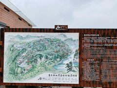 -铁山坪森林公园