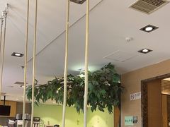 -仙踪林(北展店)
