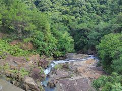 -广州白江湖森林公园