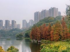 -重庆彩云湖湿地公园