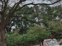 -南沙蒲洲花园