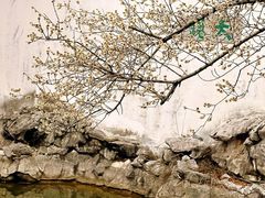 -常熟方塔园