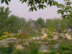 -武清南湖绿博园