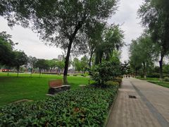 -眉山湿地公园(东坡区)