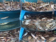 -蓝珊甄选海鲜自助·火锅大排档(近阿那亚店)