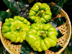 -花菇朵 ll 野生菌锅·精品滇菜(后沙峪店)