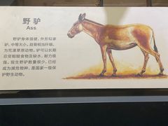 -大庆市博物馆