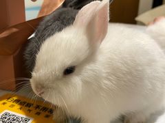 -大象厨房(重庆道店)