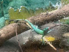-上海大自然野生昆虫馆(东方明珠·爬宠昆虫探索中心)